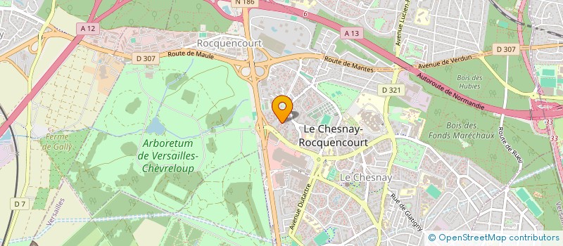 localisation de l'entreprise MADAME ELISABETH THURIES  LE CHESNAY-ROCQUENCOURT