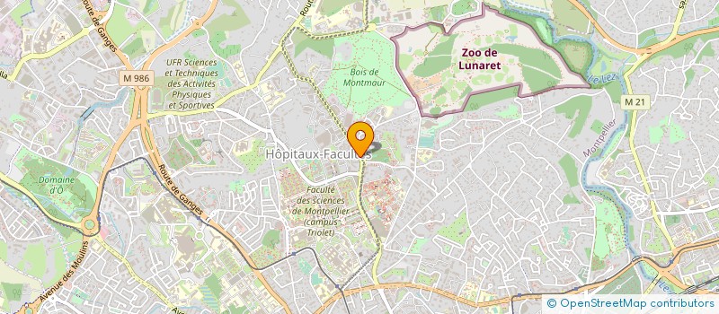 localisation de l'entreprise MADAME ELISABETH TORINESI à MONTPELLIER