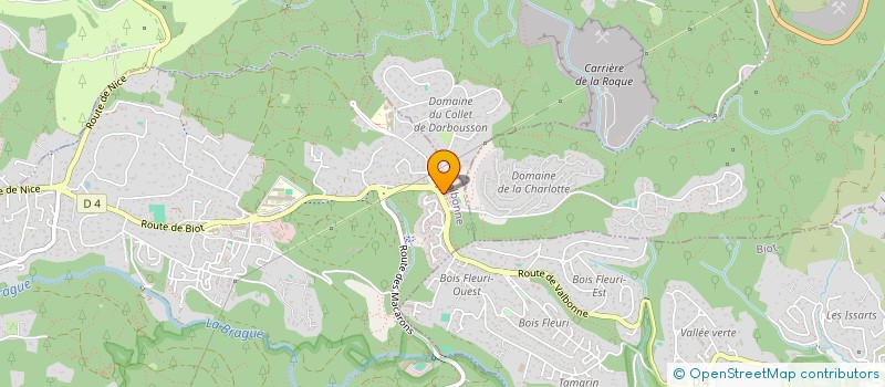 localisation de l'entreprise MADAME ELISABETH TROUBETZKOY  VALBONNE