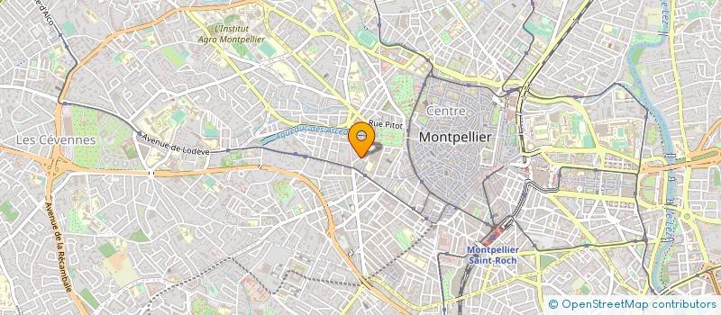 localisation de l'entreprise MADAME ELISABETH VIDAL à MONTPELLIER