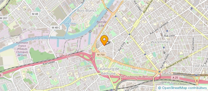 localisation de l'entreprise MADAME ELISABETH VIRLET à LILLE