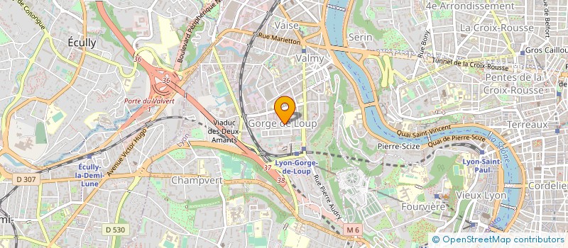 localisation de l'entreprise MADAME ELISABETH WILLENET à LYON