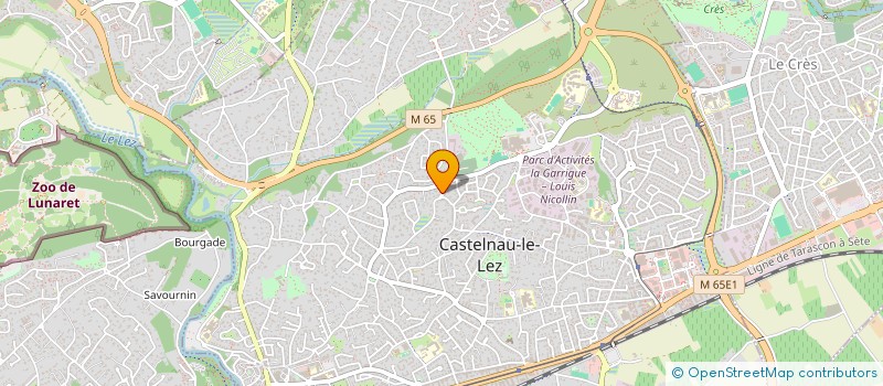 localisation de l'entreprise MADAME ELISABETTA ANDERMARCHER à CASTELNAU-LE-LEZ