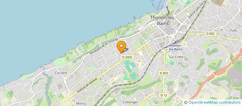 localisation de l'entreprise MADAME ELISABETTA PIGNATELLI à THONON-LES-BAINS