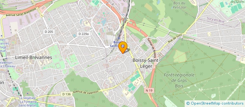 localisation de l'entreprise MADAME ELISAVETA KOSTADINOVA à BOISSY-SAINT-LEGER