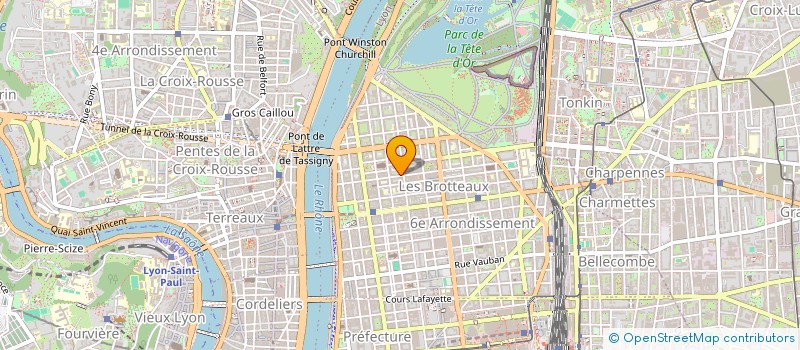 localisation de l'entreprise MADAME ELISE BALTHAZARD  LYON