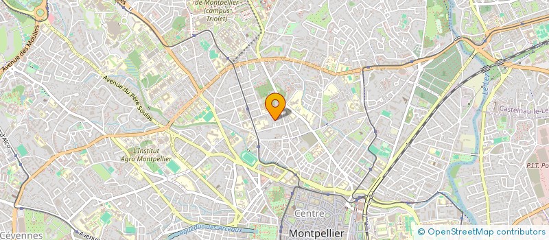 localisation de l'entreprise MADAME ELISE BERCHOUX à MONTPELLIER