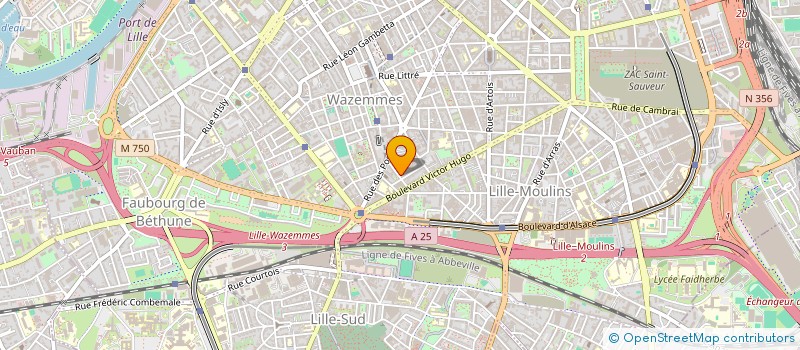 localisation de l'entreprise MADAME ELISE BETREMIEUX à LILLE