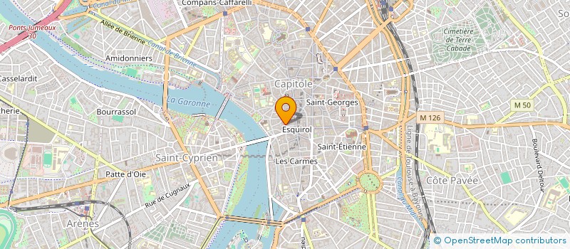 localisation de l'entreprise MADAME ELISE CARRARO  TOULOUSE