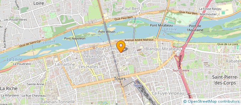 localisation de l'entreprise MADAME ELISE CHAMPION  TOURS