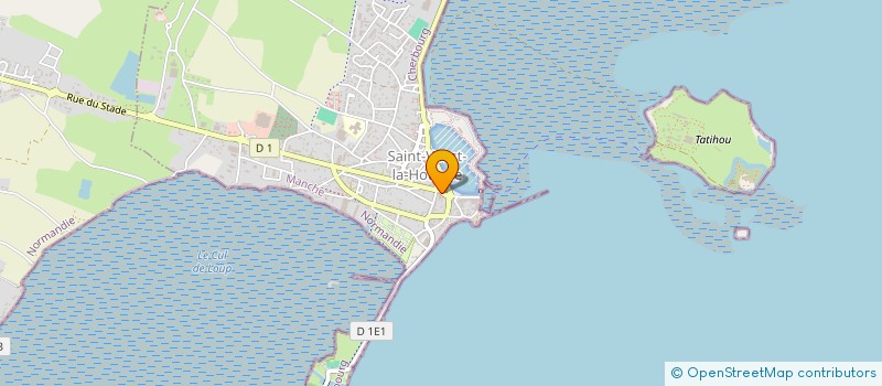 localisation de l'entreprise MADAME ELISE CONTAMINE à SAINT-VAAST-LA-HOUGUE