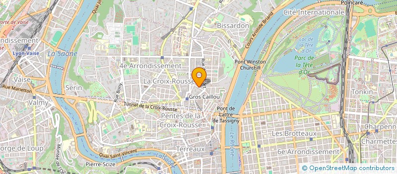 localisation de l'entreprise MADAME ELISE DEGROND à LYON