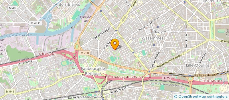 localisation de l'entreprise MADAME ELISE DELECROIX  LILLE