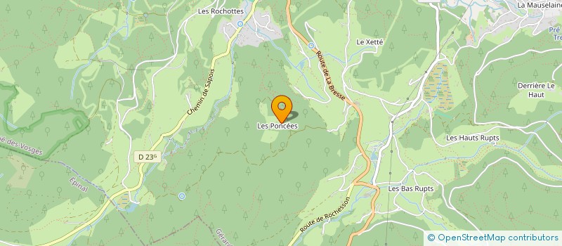 localisation de l'entreprise MADAME ELISE FABRIZI  GERARDMER