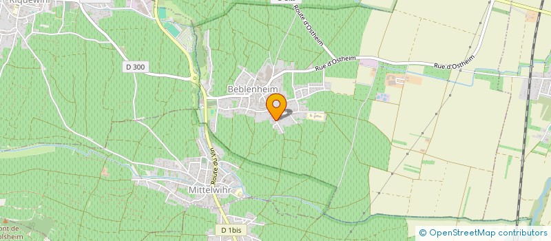 localisation de l'entreprise MADAME ELISE FLEITH  BEBLENHEIM