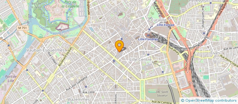 localisation de l'entreprise MADAME ELISE HENNION-GRUARD  LILLE