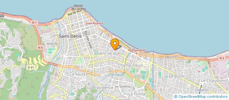 localisation de l'entreprise MADAME ELISE KOSTER à SAINT DENIS