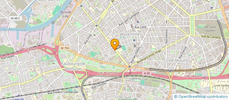 localisation de l'entreprise MADAME ELISE LEVY à LILLE