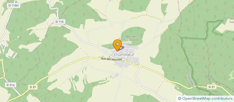 localisation de l'entreprise MADAME ELISE MAILLOT  CHAMBUF