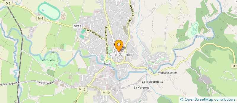 localisation de l'entreprise MADAME ELISE MARTIN  SAINT-GALMIER