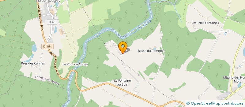 localisation de l'entreprise MADAME ELISE MARULIER  LA VOGE-LES-BAINS