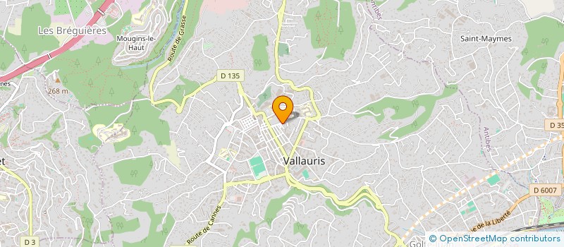 localisation de l'entreprise MADAME ELISE MEA  VALLAURIS