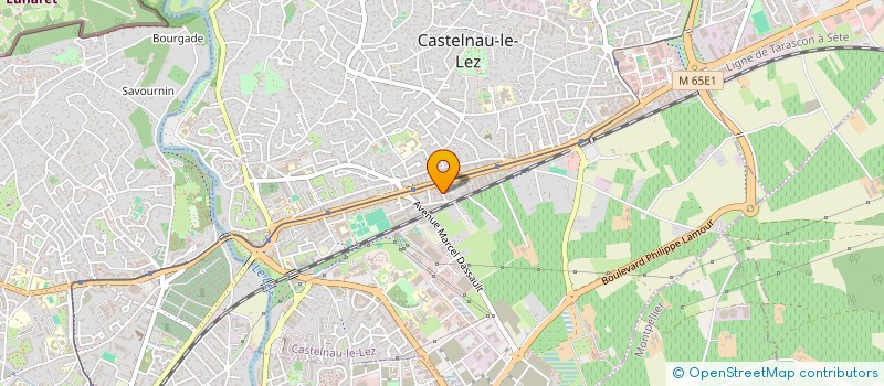 localisation de l'entreprise MADAME ELISE MOSCARDO à CASTELNAU-LE-LEZ