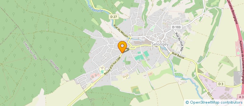 localisation de l'entreprise MADAME ELISE NIZET  SELONGEY