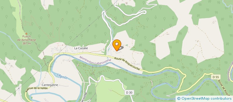localisation de l'entreprise MADAME ELISE PUECH à MONTREDON-LABESSONNIE