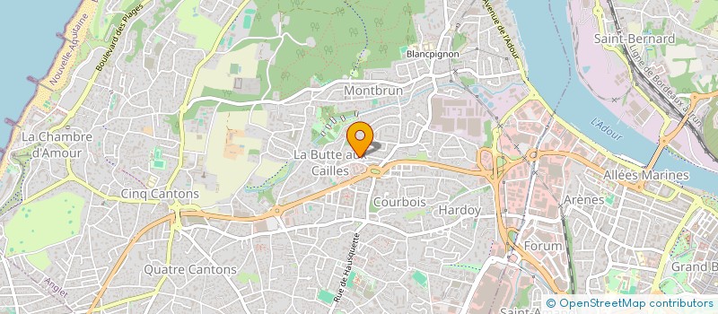 localisation de l'entreprise MADAME ELISE RIBEIRO à ANGLET