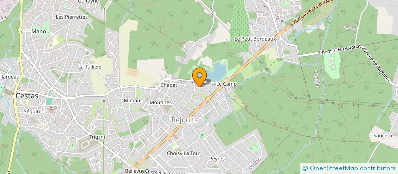 localisation de l'entreprise MADAME ELISE RISPAL  CESTAS