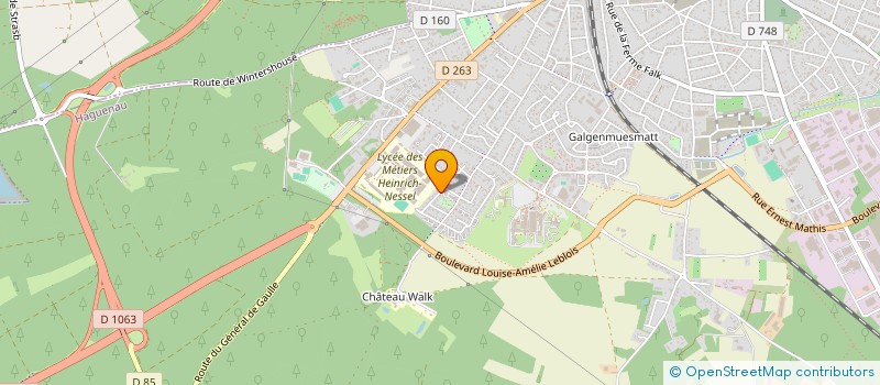 localisation de l'entreprise MADAME ELISE SCHAUPP  HAGUENAU