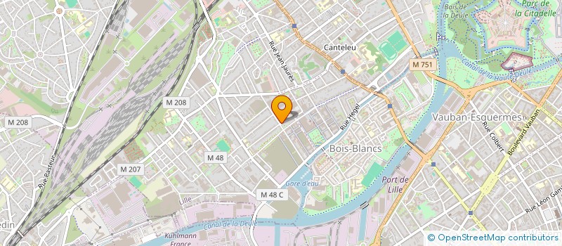 localisation de l'entreprise MADAME ELISE SILVA à LILLE
