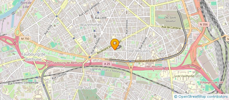 localisation de l'entreprise MADAME ELISE VANDERHAEGEN  LILLE