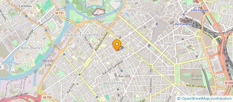 localisation de l'entreprise MADAME ELISE VISEUX  LILLE