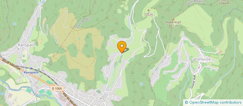 localisation de l'entreprise MADAME ELISE VORBURGER  SAINT-AMARIN