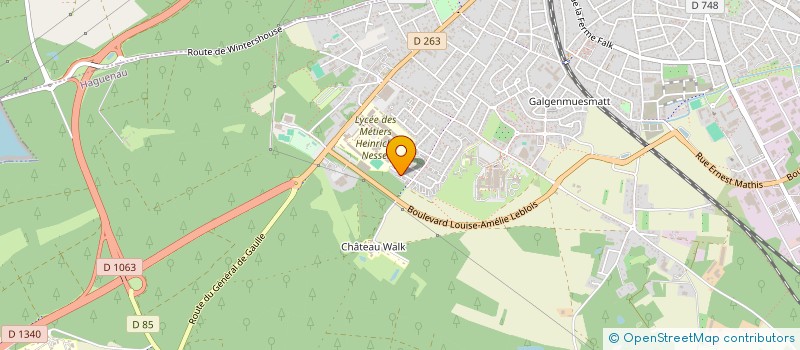 localisation de l'entreprise MADAME ELISE WAMBST  HAGUENAU