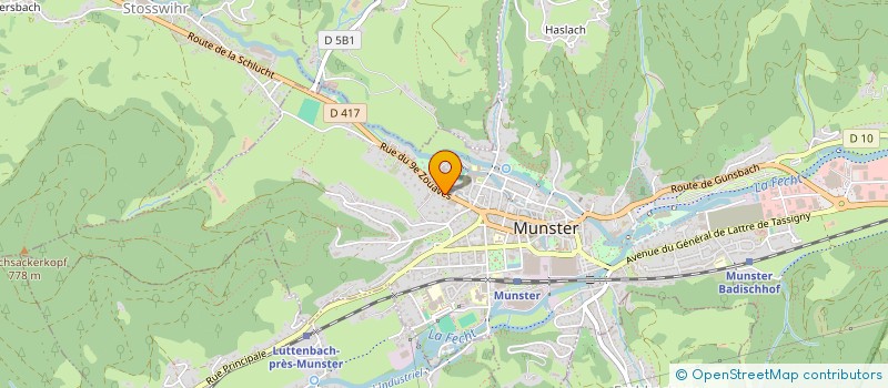 localisation de l'entreprise MADAME ELISE WEREY  MUNSTER