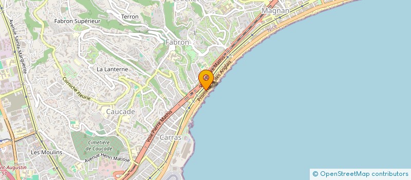 localisation de l'entreprise MADAME ELIZABETH MATHIS à NICE