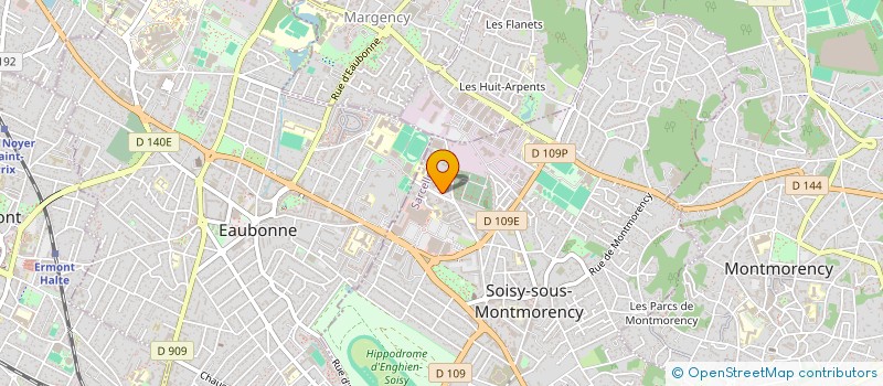 localisation de l'entreprise MADAME ELIZABETH THOMANN  SOISY-SOUS-MONTMORENCY