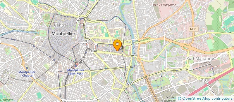 localisation de l'entreprise MADAME ELIZAVETA KIBIREVA à MONTPELLIER