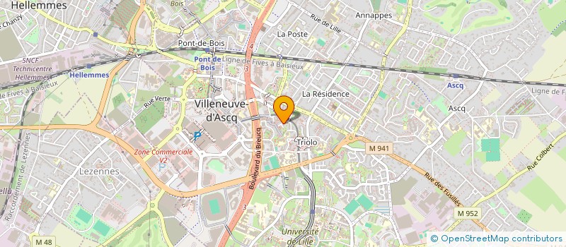 localisation de l'entreprise MADAME ELIZAVETA ORDOMSKAYA à VILLENEUVE-D'ASCQ