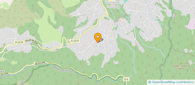 localisation de l'entreprise MADAME ELLEN TEURLINGS à TOURRETTES-SUR-LOUP