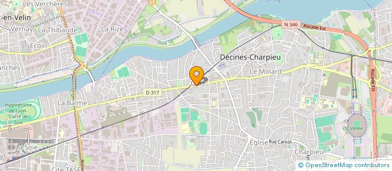 localisation de l'entreprise MADAME ELMIRA DUHLICHER  DECINES-CHARPIEU