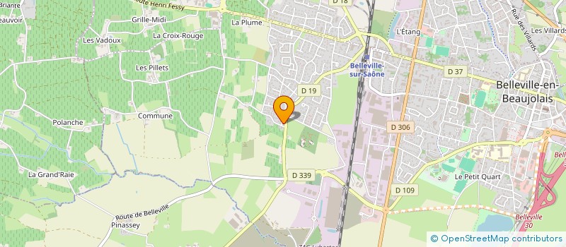 localisation de l'entreprise MADAME ELODIE AKILOLA  BELLEVILLE-EN-BEAUJOLAIS