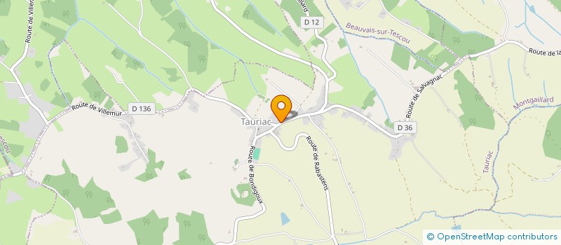 localisation de l'entreprise MADAME ELODIE ALCARAZ  TAURIAC