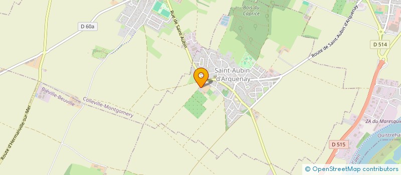 localisation de l'entreprise MADAME ELODIE ANNE  SAINT-AUBIN-D'ARQUENAY