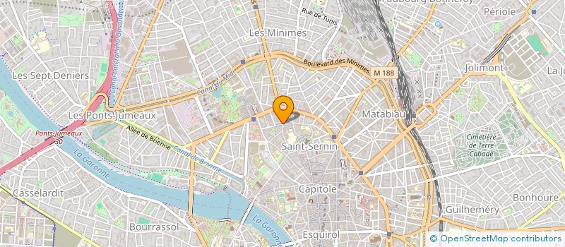 localisation de l'entreprise MADAME ELODIE BERGONNIER à TOULOUSE