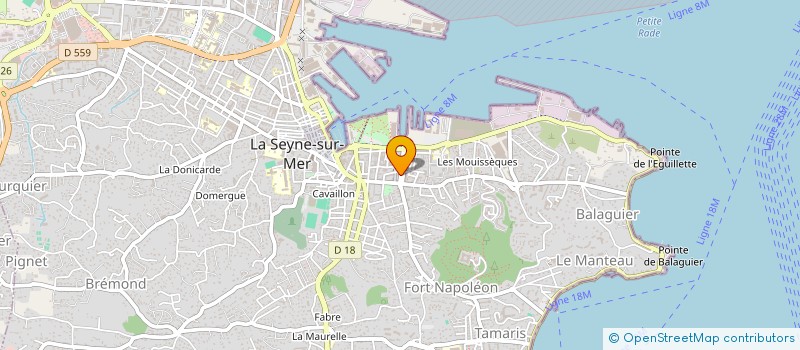 localisation de l'entreprise MADAME ELODIE BERTHON à LA SEYNE-SUR-MER