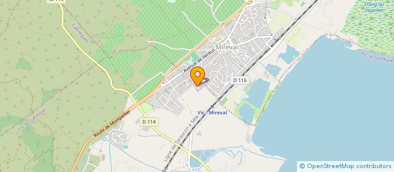 localisation de l'entreprise MADAME ELODIE BIGORRE  MIREVAL